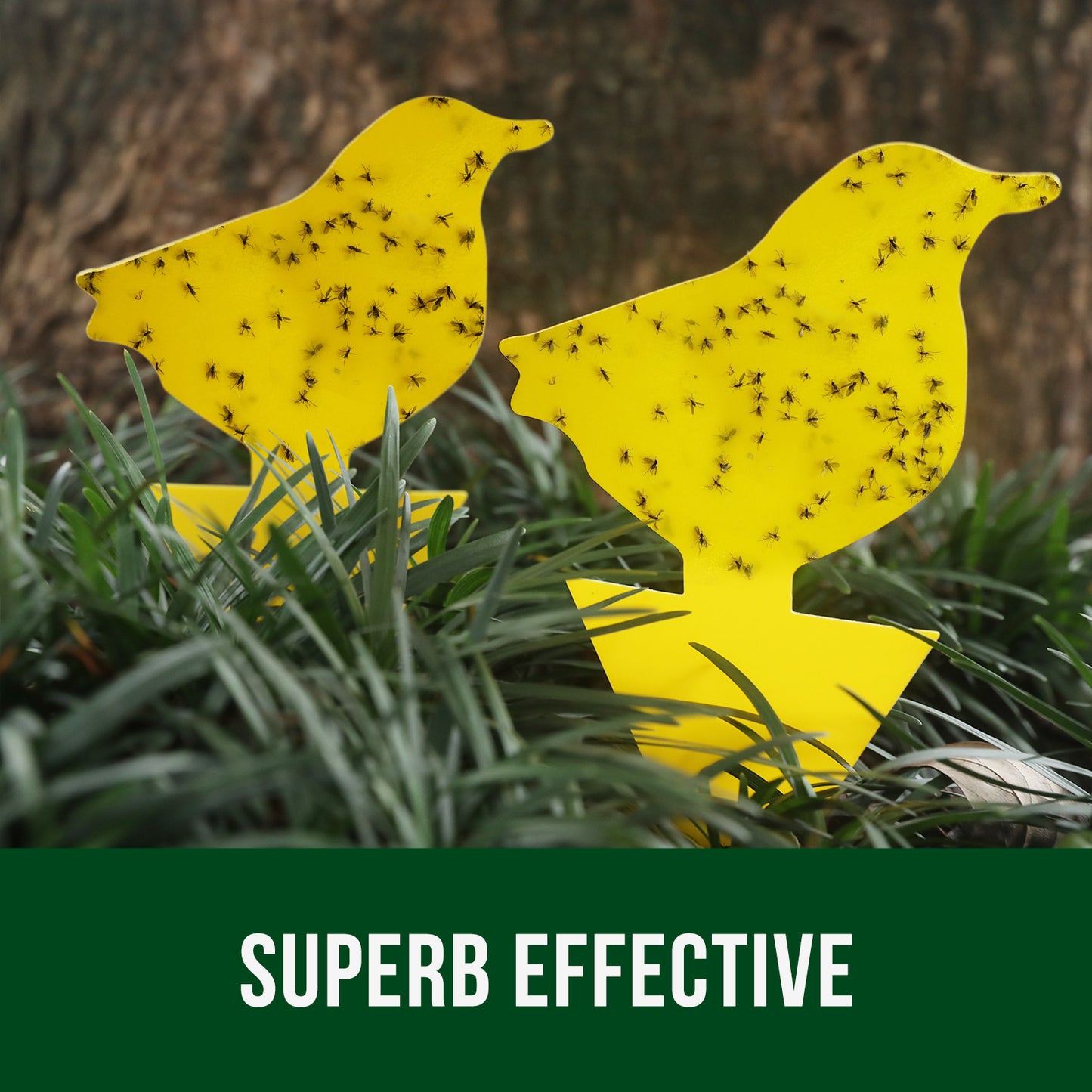 Garsum Fruit Fly Trap Yellow Sticky Traps, 18 pcs Fungus Gnat Killer for Indoor and Outdoor Plant Insect Catcher - Bird Shape