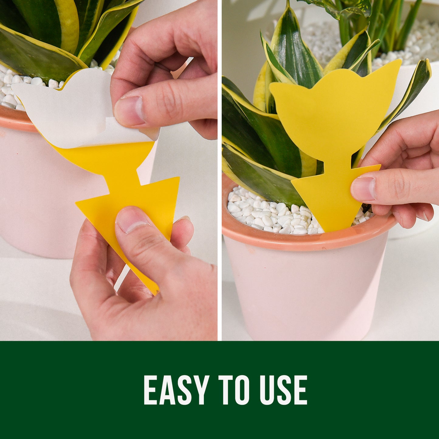 Garsum Fruit Fly Trap Yellow Sticky Traps, 18 pcs Fungus Gnat Killer for Indoor and Outdoor Plant Insect Catcher - Tulip Shape