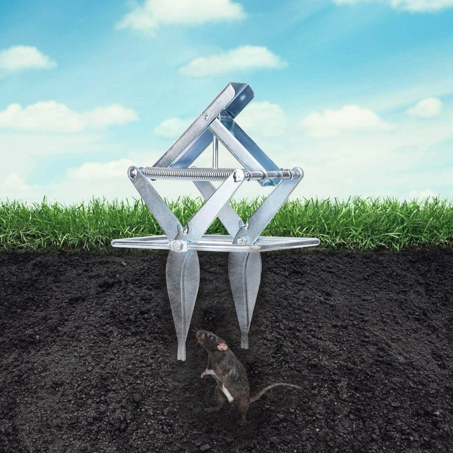 mole trap protect your lawn from damaing
