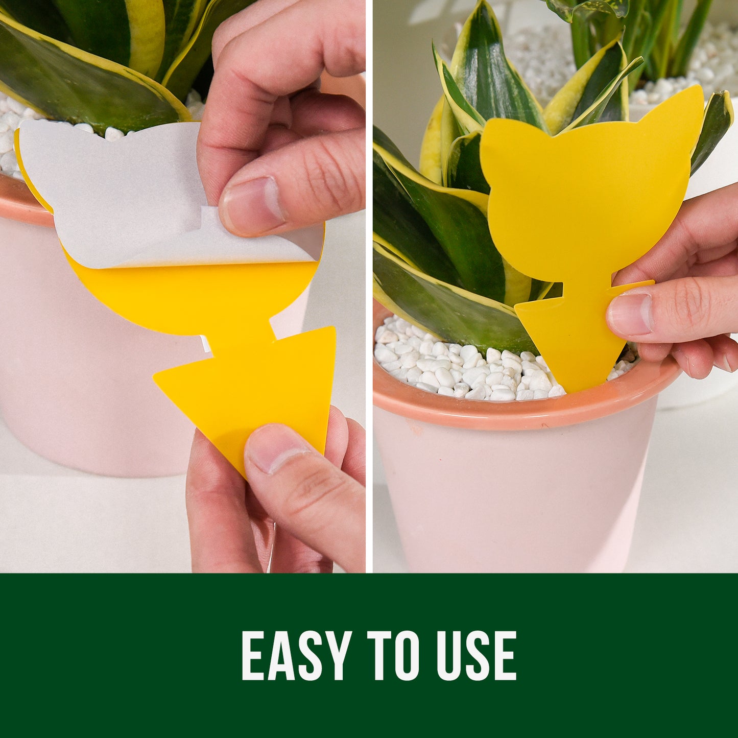 Garsum Fruit Fly Trap Yellow Sticky Traps, 18 pcs Fungus Gnat Killer for Indoor and Outdoor Plant Insect Catcher - Cat Shape