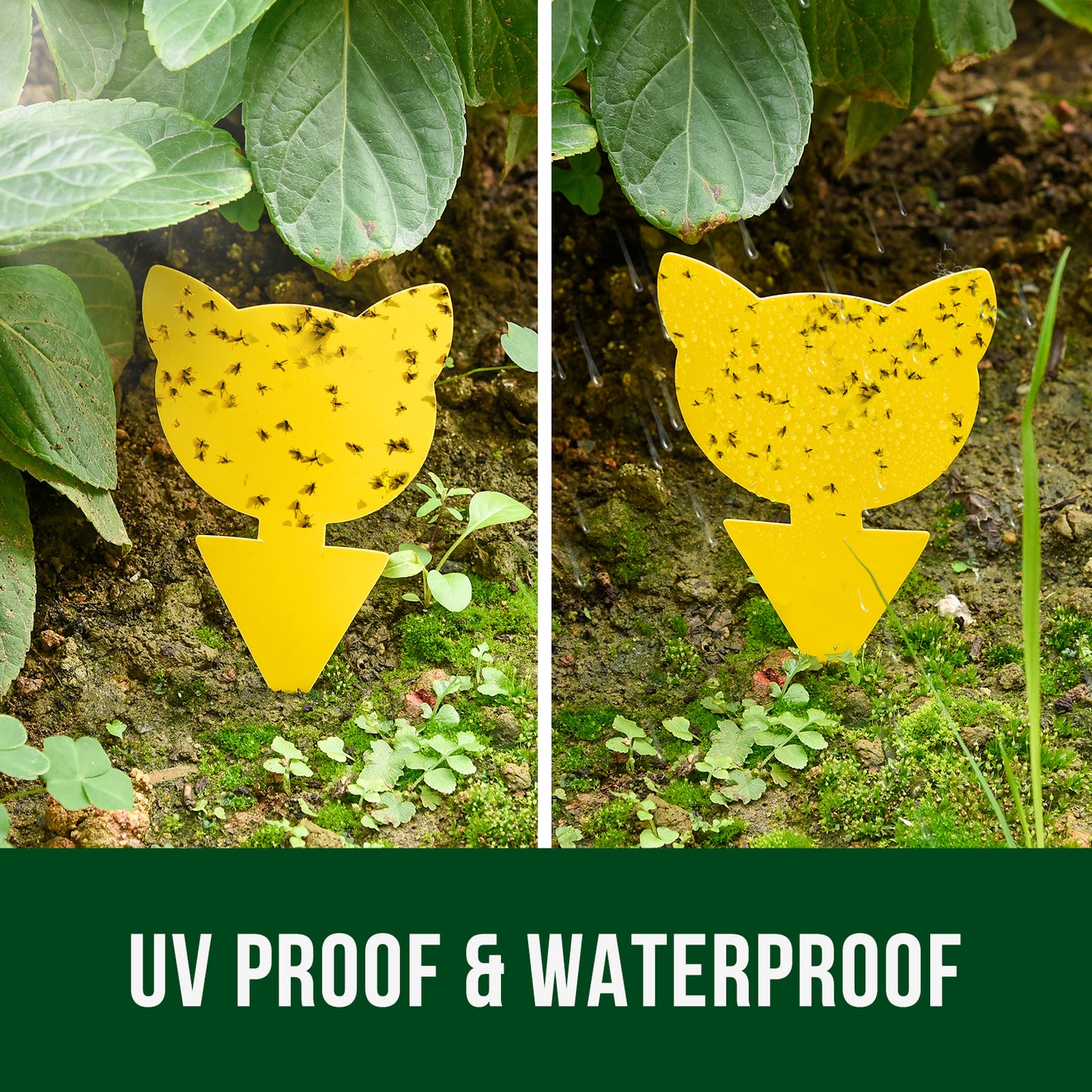 Garsum Fruit Fly Trap Yellow Sticky Traps, 18 pcs Fungus Gnat Killer for Indoor and Outdoor Plant Insect Catcher - Cat Shape