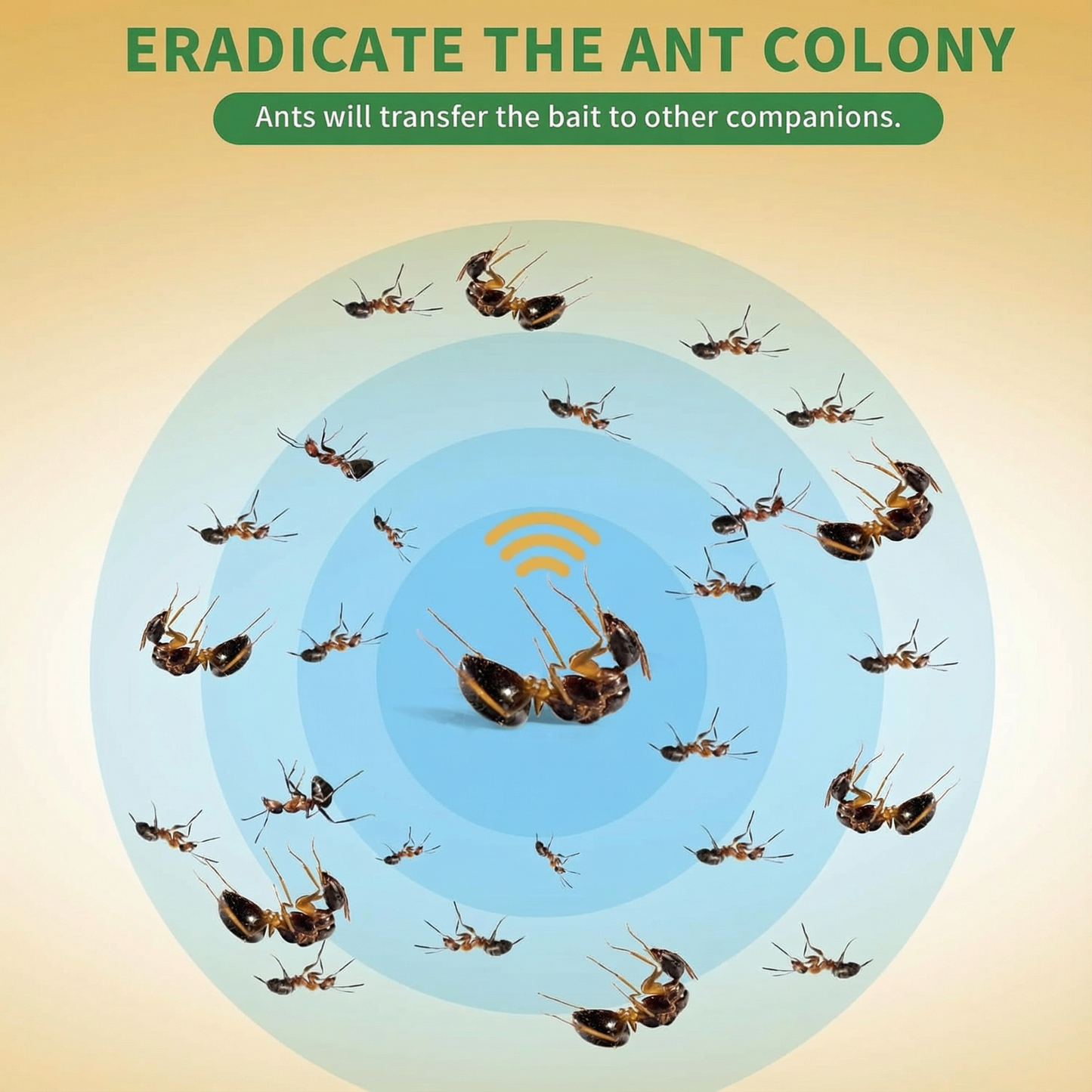 Garsum Ant Gel Bait Ready-to-Use 30g Indoor & Outdoor Ant Control Solution 1 Tube for Effective Infestation Management