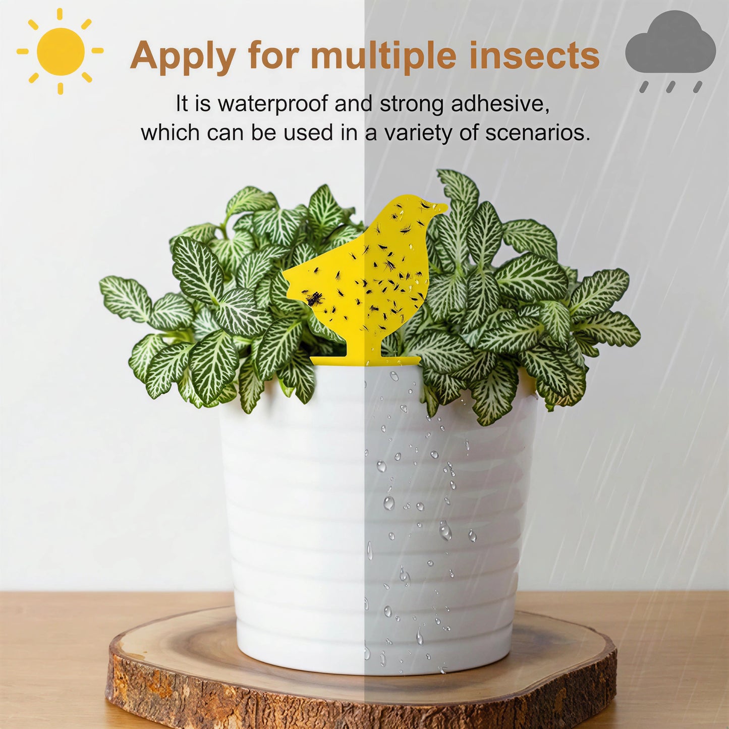 Garsum Fruit Fly Trap Yellow Sticky Traps, 18 pcs Fungus Gnat Killer for Indoor and Outdoor Plant Insect Catcher - Bird Shape