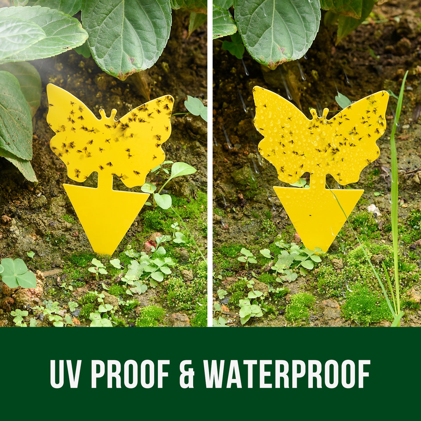Garsum® Fruit Fly Trap Yellow Sticky Traps, 18 pcs Fungus Gnat Killer for Indoor and Outdoor Plant Insect Catcher - Butterfly Shape