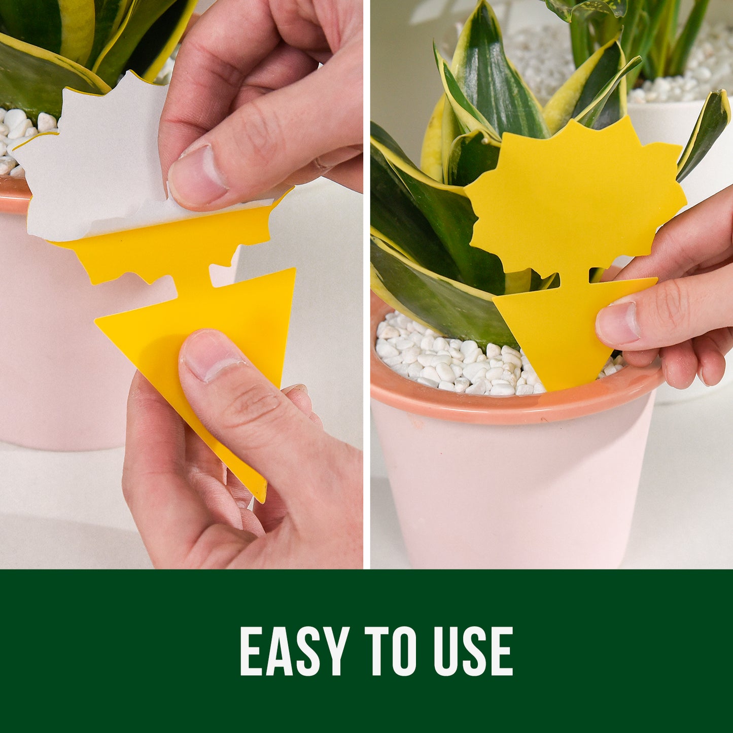 Garsum® Fruit Fly Trap Yellow Sticky Traps, 18 pcs Fungus Gnat Killer for Indoor and Outdoor Plant Insect Catcher - Sunflower Shape
