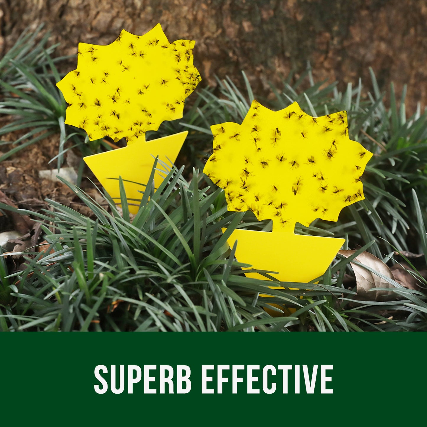 Garsum® Fruit Fly Trap Yellow Sticky Traps, 18 pcs Fungus Gnat Killer for Indoor and Outdoor Plant Insect Catcher - Sunflower Shape