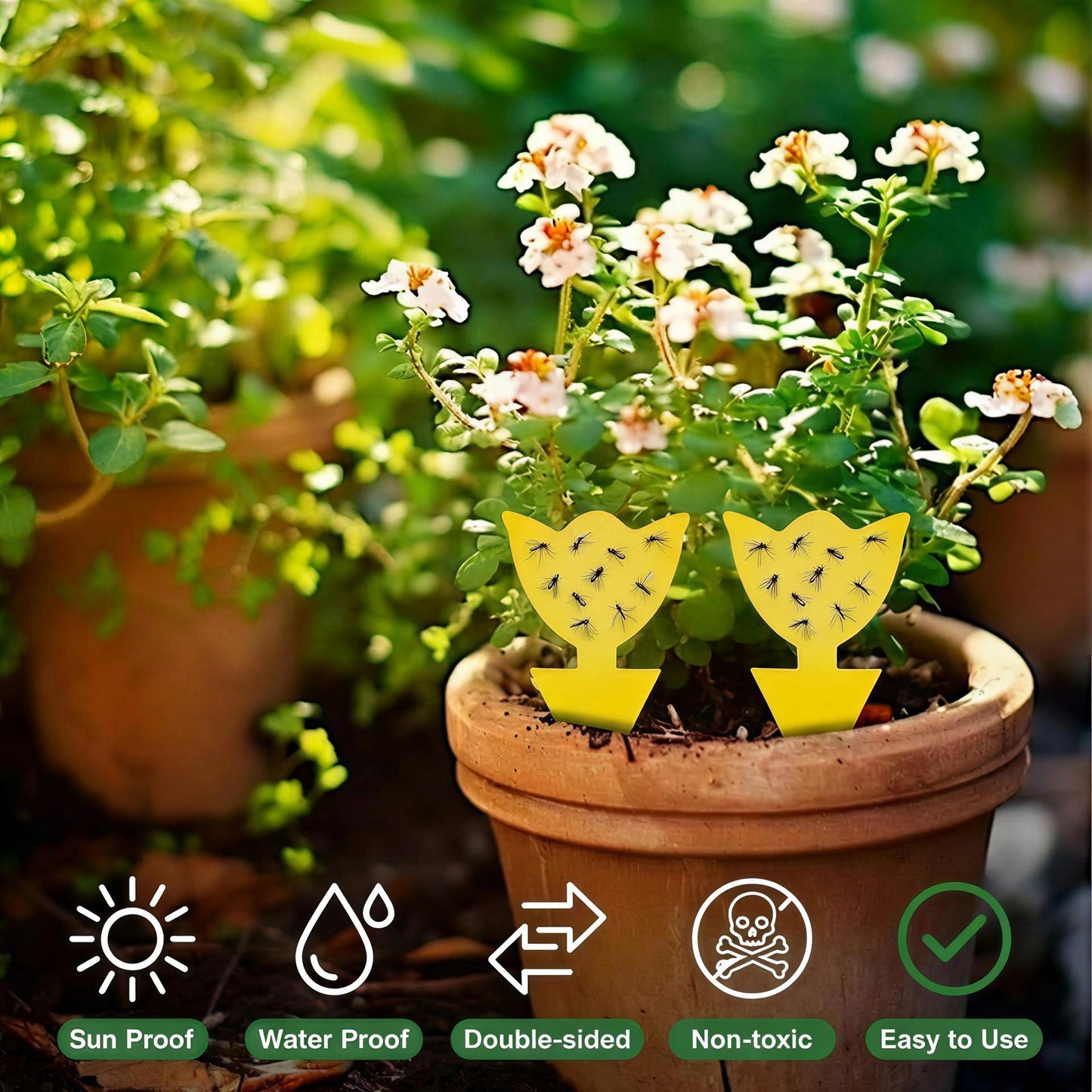 Garsum Fruit Fly Trap Yellow Sticky Traps, 18 pcs Fungus Gnat Killer for Indoor and Outdoor Plant Insect Catcher - Tulip Shape