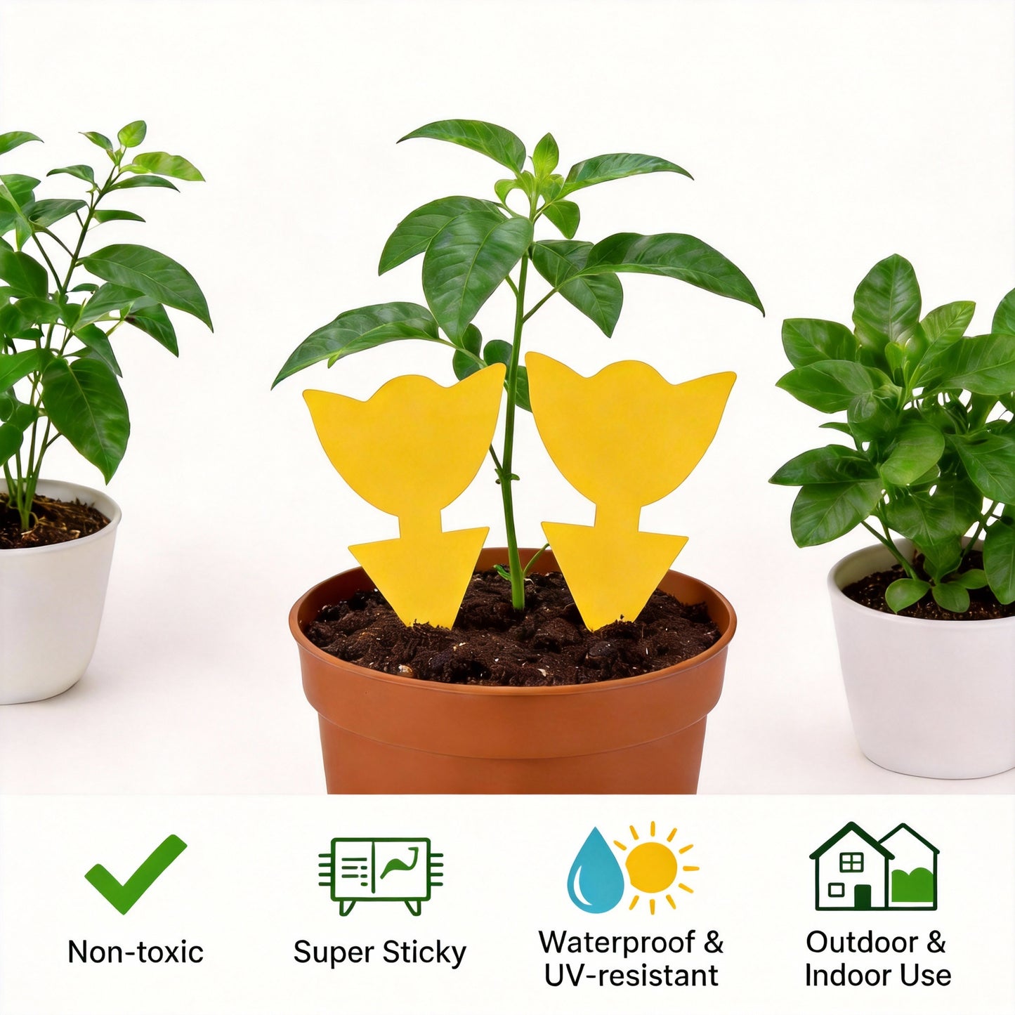 Garsum Fruit Fly Trap Yellow Sticky Traps, 18 pcs Fungus Gnat Killer for Indoor and Outdoor Plant Insect Catcher - Tulip Shape