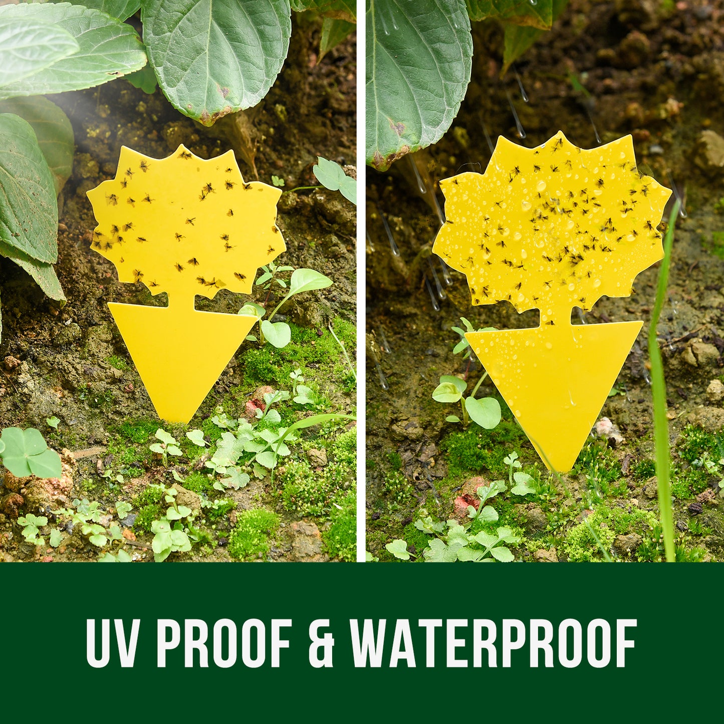 Garsum® Fruit Fly Trap Yellow Sticky Traps, 18 pcs Fungus Gnat Killer for Indoor and Outdoor Plant Insect Catcher - Sunflower Shape