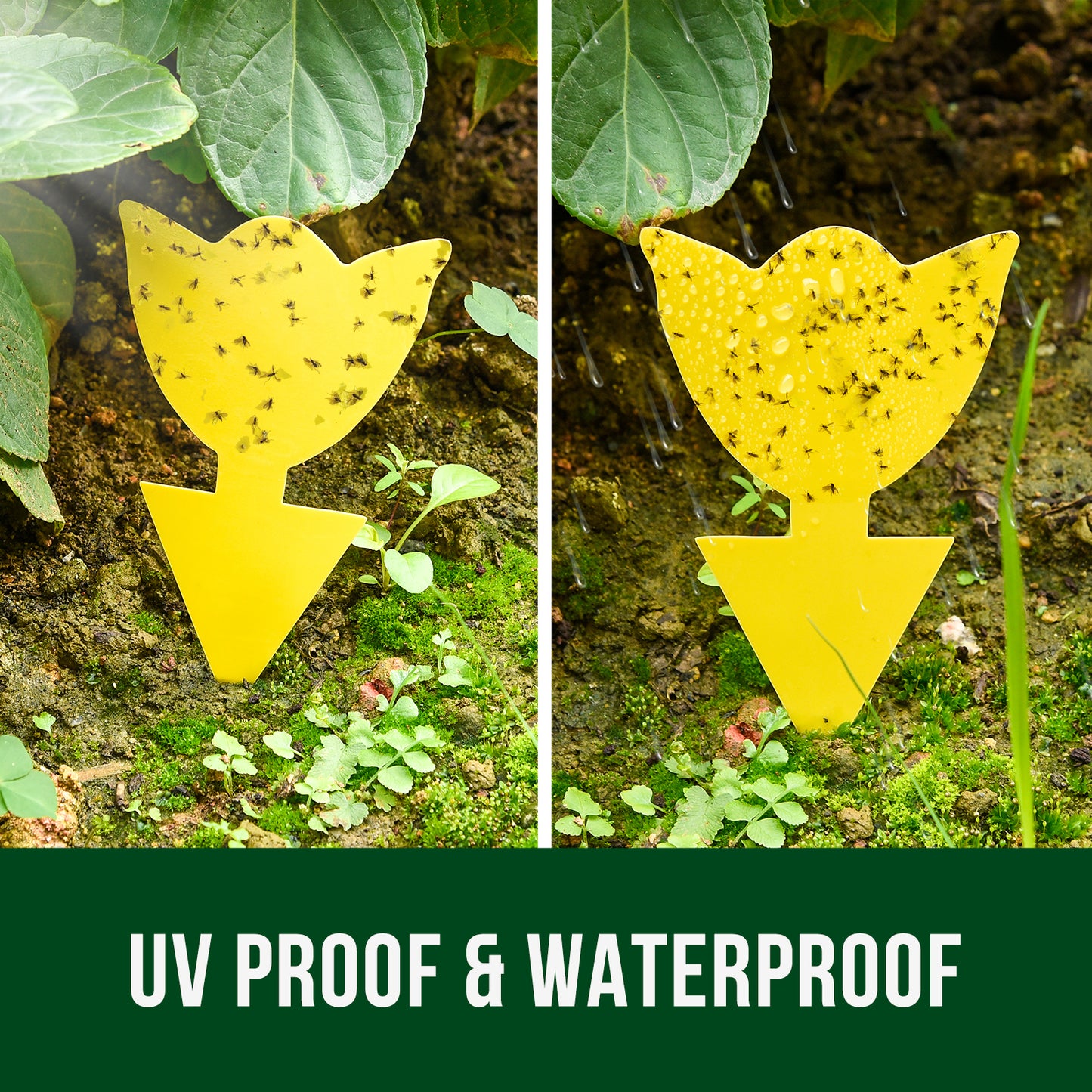 Garsum Fruit Fly Trap Yellow Sticky Traps, 18 pcs Fungus Gnat Killer for Indoor and Outdoor Plant Insect Catcher - Tulip Shape