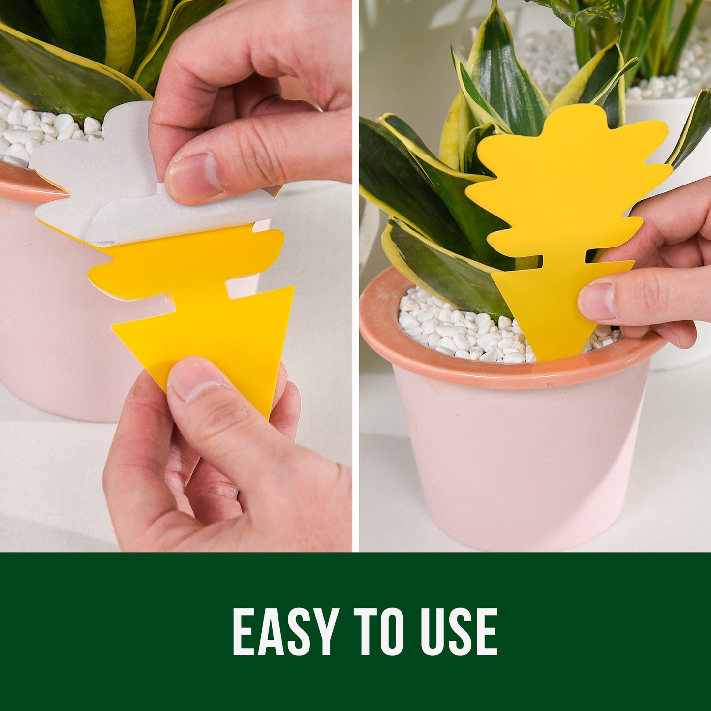 Garsum Fruit Fly Trap Yellow Sticky Traps, 18 pcs Fungus Gnat Killer for Indoor and Outdoor Plant Insect Catcher - Succulent Shape