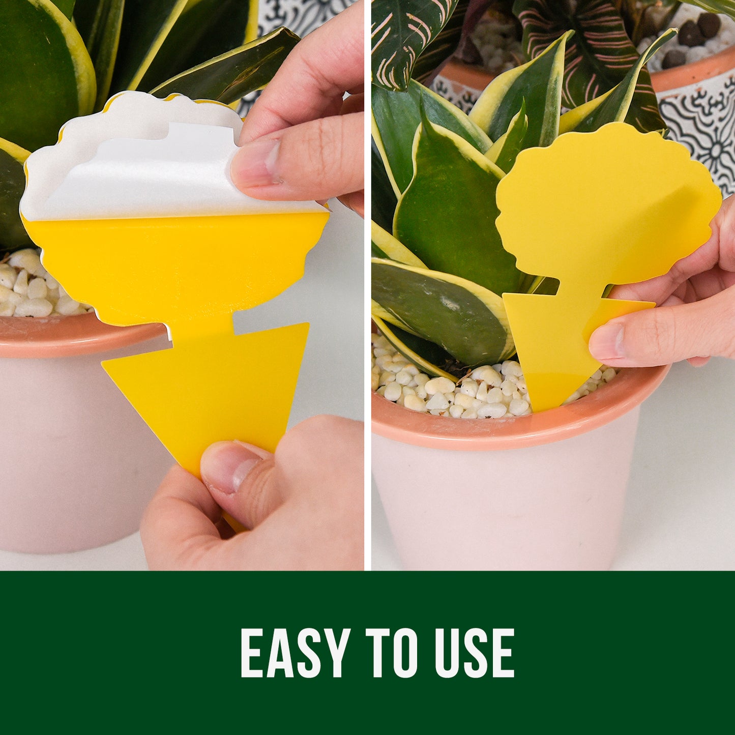 Garsum Fruit Fly Trap Yellow Sticky Traps, 18 pcs Fungus Gnat Killer for Indoor and Outdoor Plant Insect Catcher - Poplar Shape