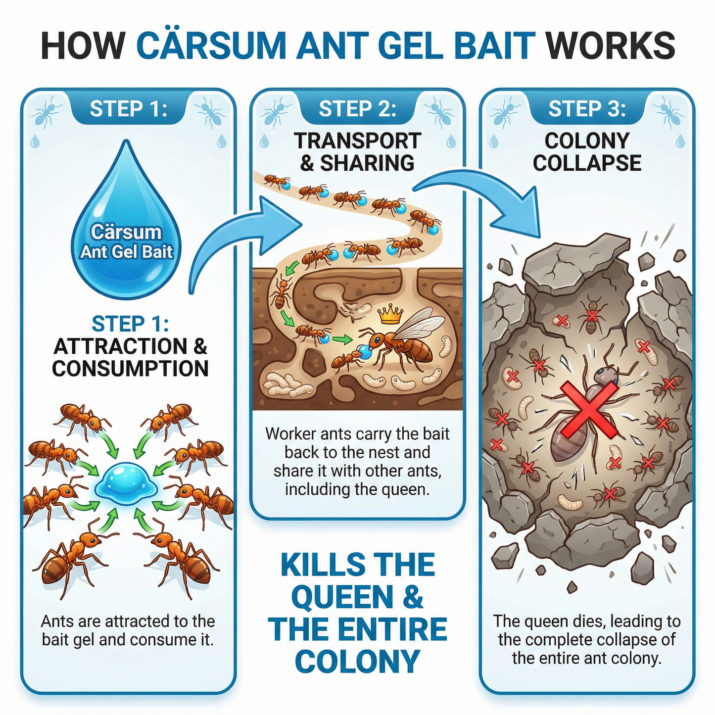 Garsum Ant Gel Bait Ready-to-Use (4 Tubes x 30 Grams) Indoor & Outdoor Ant Control Solution